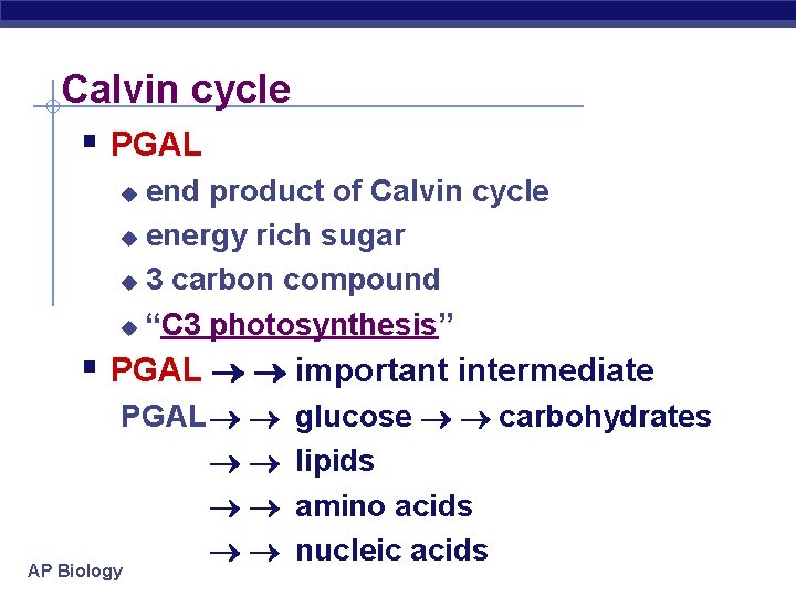 Calvin cycle § PGAL end product of Calvin cycle u energy rich sugar u