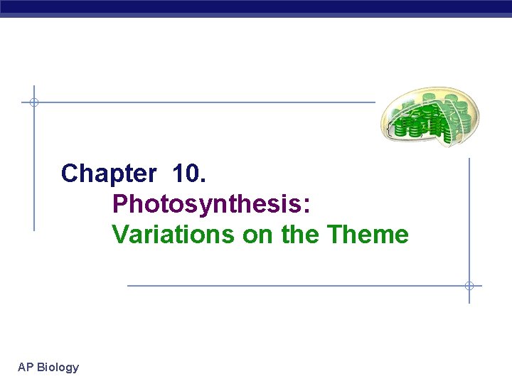 Chapter 10. Photosynthesis: Variations on the Theme AP Biology 