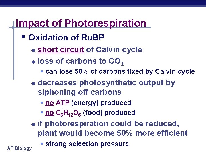 Impact of Photorespiration § Oxidation of Ru. BP short circuit of Calvin cycle u
