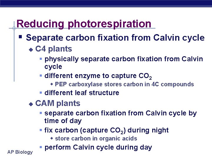 Reducing photorespiration § Separate carbon fixation from Calvin cycle u C 4 plants §