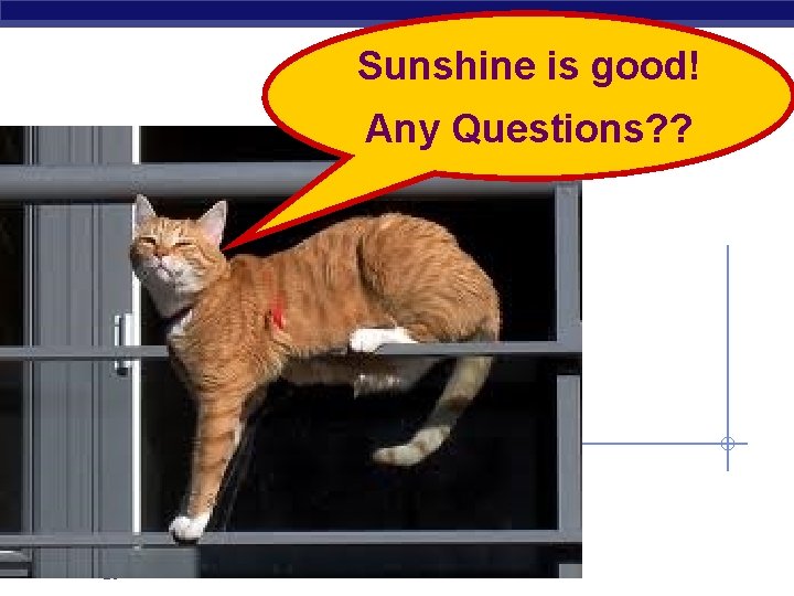 Sunshine is good! Any Questions? ? AP Biology 