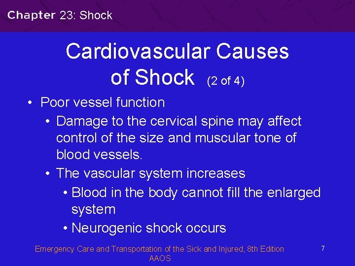 23: Shock Cardiovascular Causes of Shock (2 of 4) • Poor vessel function •