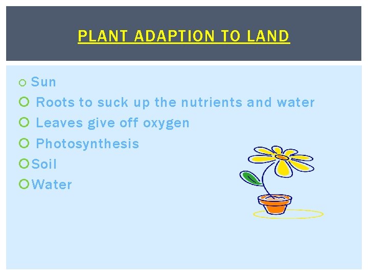 PLANT ADAPTION TO LAND Sun Roots to suck up the nutrients and water Leaves