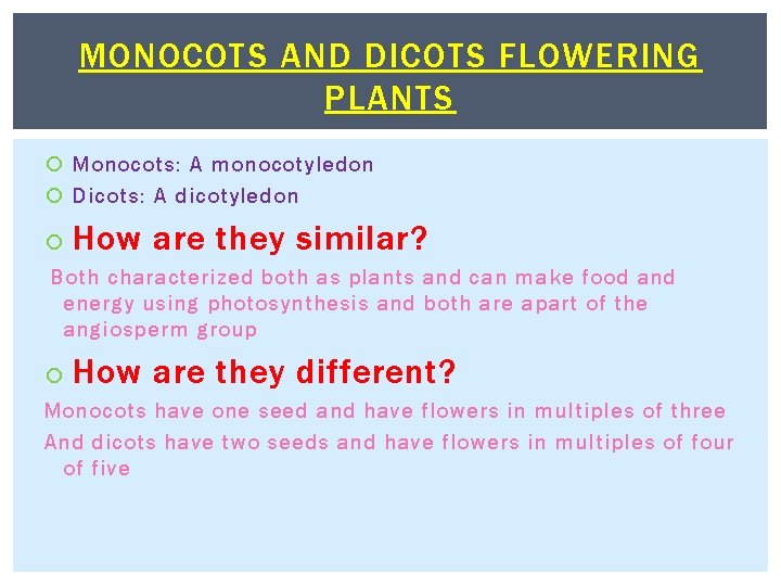 MONOCOTS AND DICOTS FLOWERING PLANTS Monocots: A monocotyledon Dicots: A dicotyledon How are they