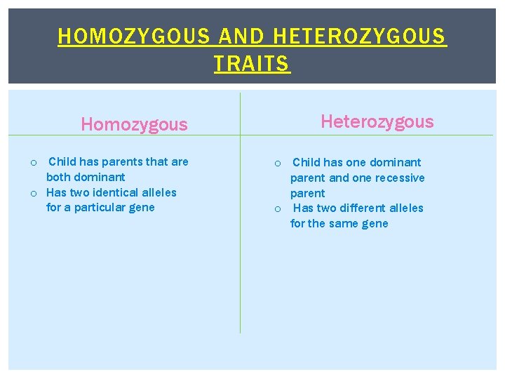 HOMOZYGOUS AND HETEROZYGOUS TRAITS Homozygous o Child has parents that are both dominant o