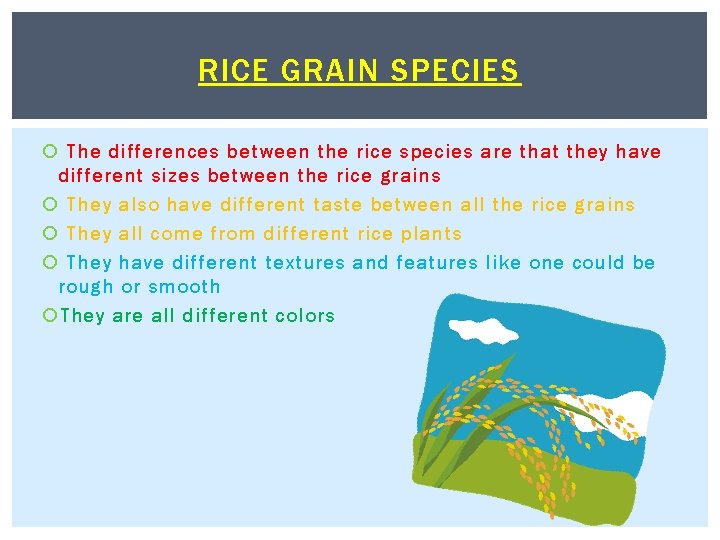 RICE GRAIN SPECIES The differences between the rice species are that they have different