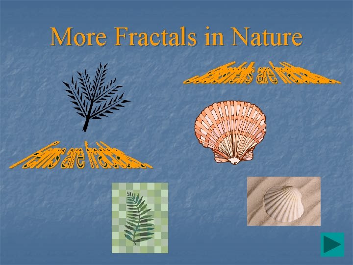 More Fractals in Nature 