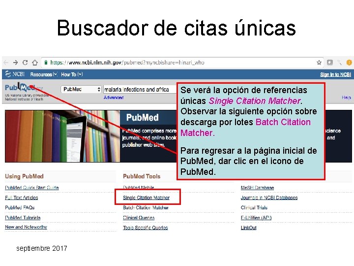 Buscador de citas únicas Se verá la opción de referencias únicas Single Citation Matcher.