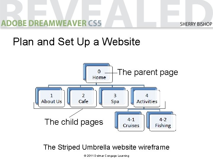 Plan and Set Up a Website The parent page The child pages The Striped