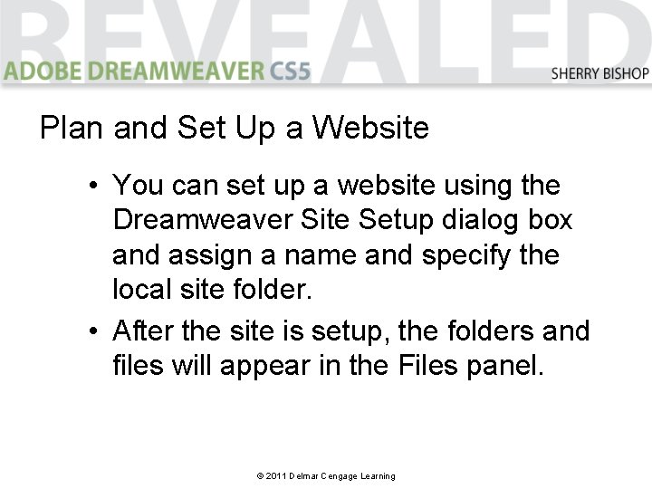Plan and Set Up a Website • You can set up a website using