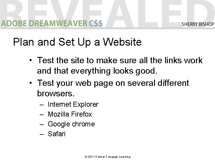 Plan and Set Up a Website • Test the site to make sure all