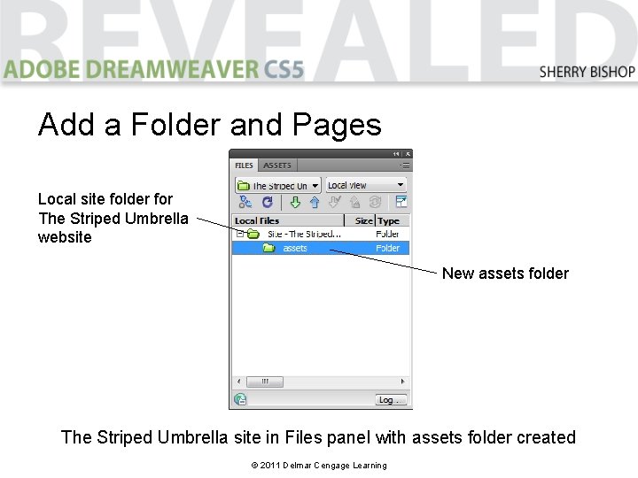 Add a Folder and Pages Local site folder for The Striped Umbrella website New