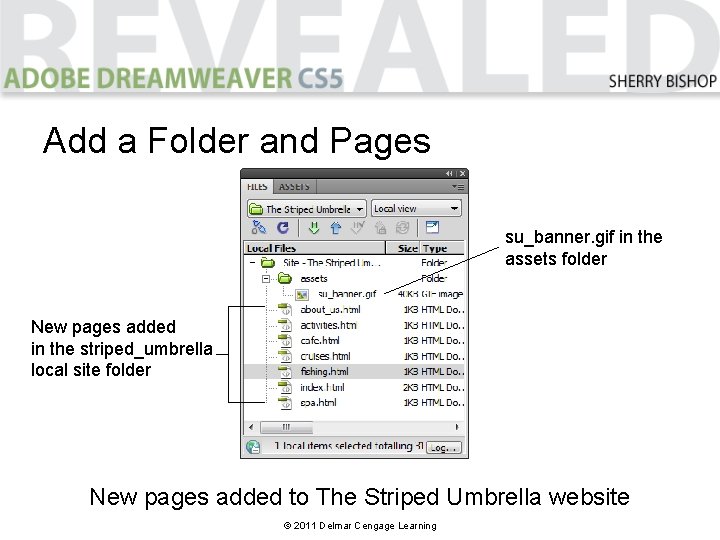 Add a Folder and Pages su_banner. gif in the assets folder New pages added