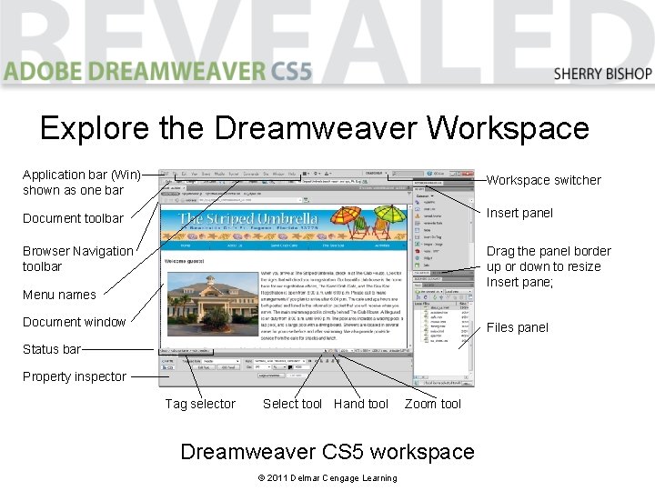 Explore the Dreamweaver Workspace Application bar (Win) shown as one bar Workspace switcher Document