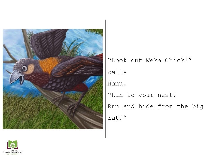 “Look out Weka Chick!” calls Manu. “Run to your nest! Run and hide from