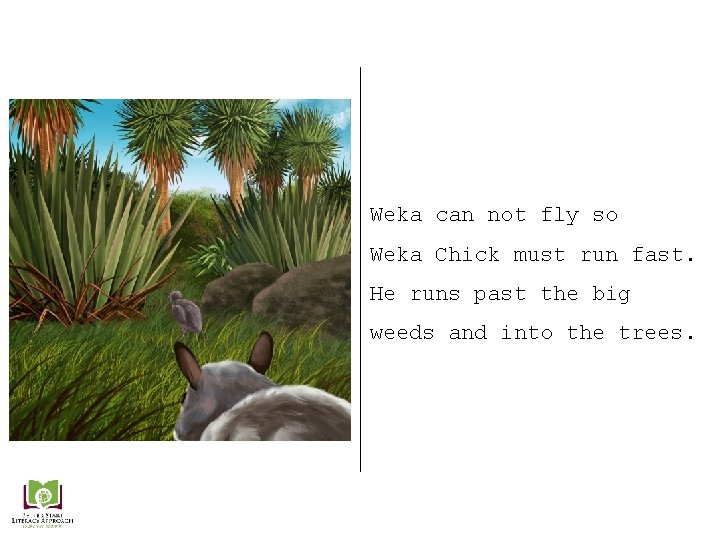 Weka can not fly so Weka Chick must run fast. He runs past the