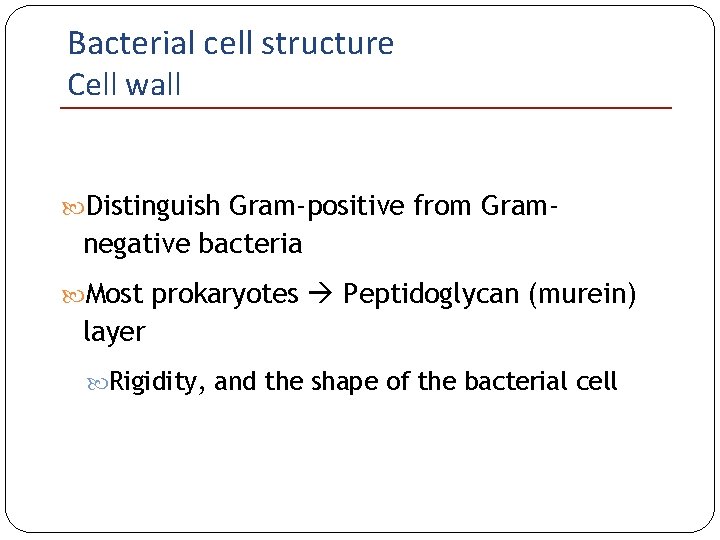 Bacterial cell structure Cell wall Distinguish Gram-positive from Gram- negative bacteria Most prokaryotes Peptidoglycan