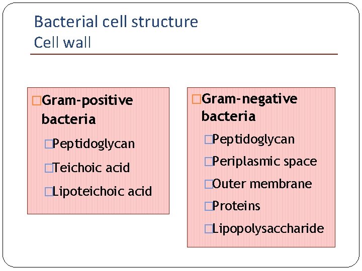 Bacterial cell structure Cell wall �Gram-positive �Gram-negative bacteria �Peptidoglycan �Teichoic acid �Lipoteichoic acid �Periplasmic