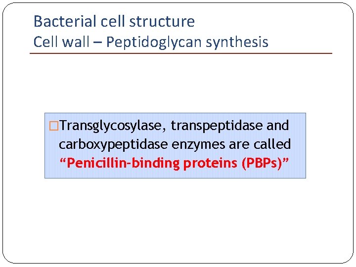 Bacterial cell structure Cell wall – Peptidoglycan synthesis �Transglycosylase, transpeptidase and carboxypeptidase enzymes are