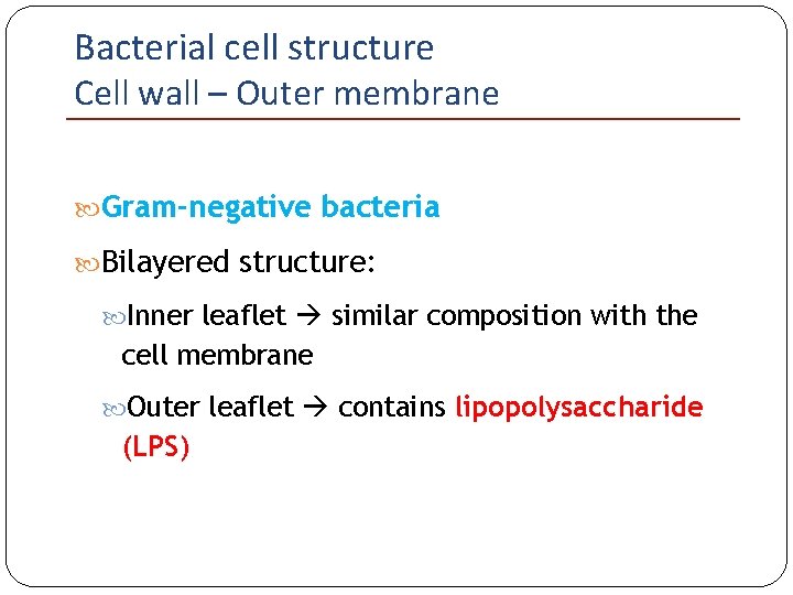 Bacterial cell structure Cell wall – Outer membrane Gram-negative bacteria Bilayered structure: Inner leaflet