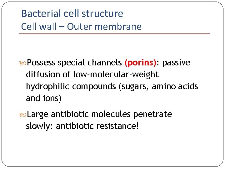 Bacterial cell structure Cell wall – Outer membrane Possess special channels (porins): passive diffusion