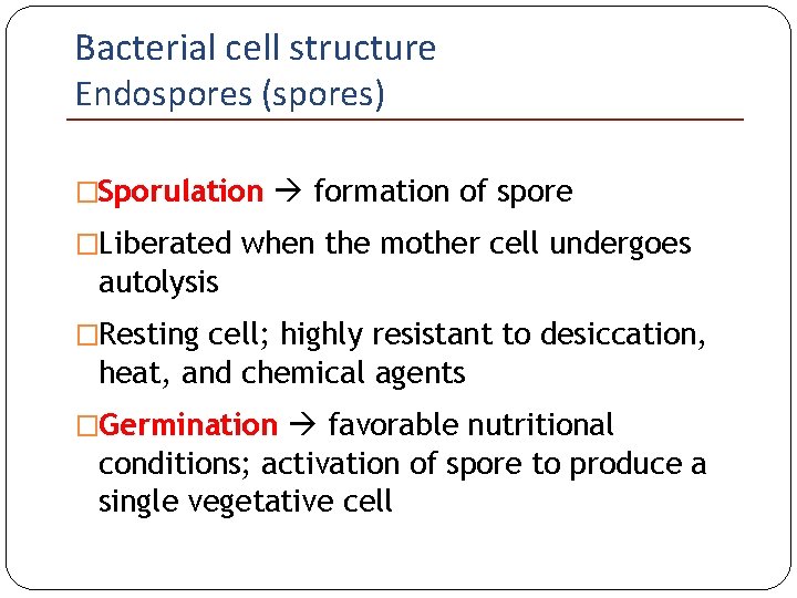 Bacterial cell structure Endospores (spores) �Sporulation formation of spore �Liberated when the mother cell