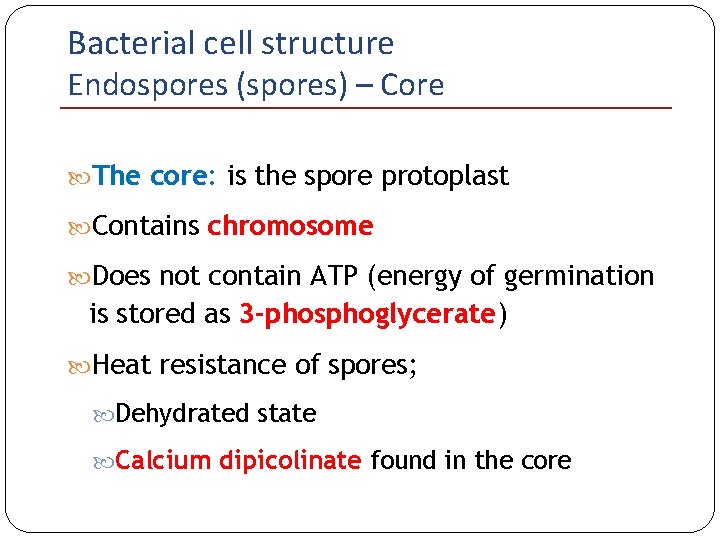 Bacterial cell structure Endospores (spores) – Core The core: is the spore protoplast Contains