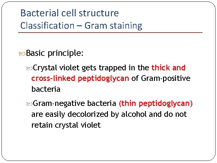Bacterial cell structure Classification – Gram staining Basic principle: Crystal violet gets trapped in