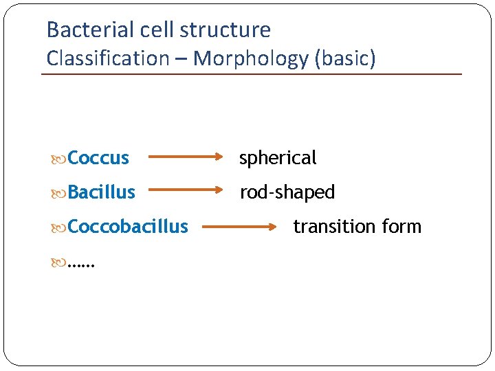 Bacterial cell structure Classification – Morphology (basic) Coccus spherical Bacillus rod-shaped Coccobacillus …… transition