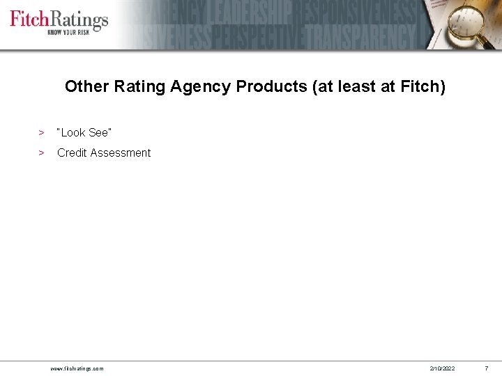Other Rating Agency Products (at least at Fitch) > “Look See” > Credit Assessment