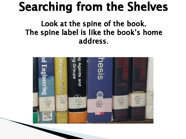 Searching from the Shelves Look at the spine of the book. The spine label