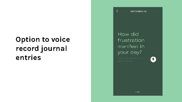 Option to voice record journal entries 