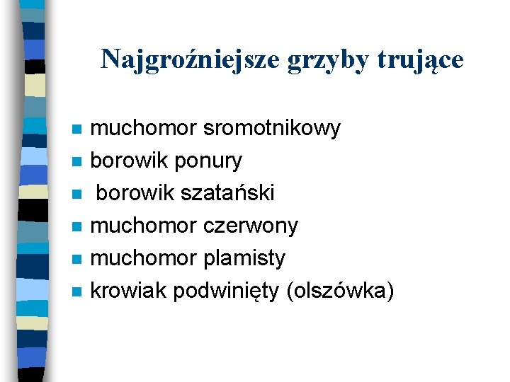 Najgroźniejsze grzyby trujące n n n muchomor sromotnikowy borowik ponury borowik szatański muchomor czerwony