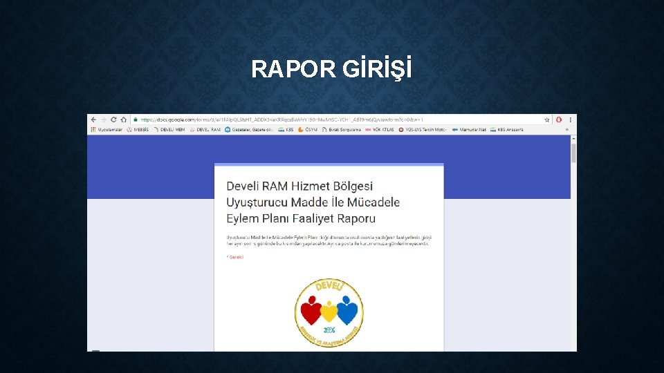 RAPOR GİRİŞİ 