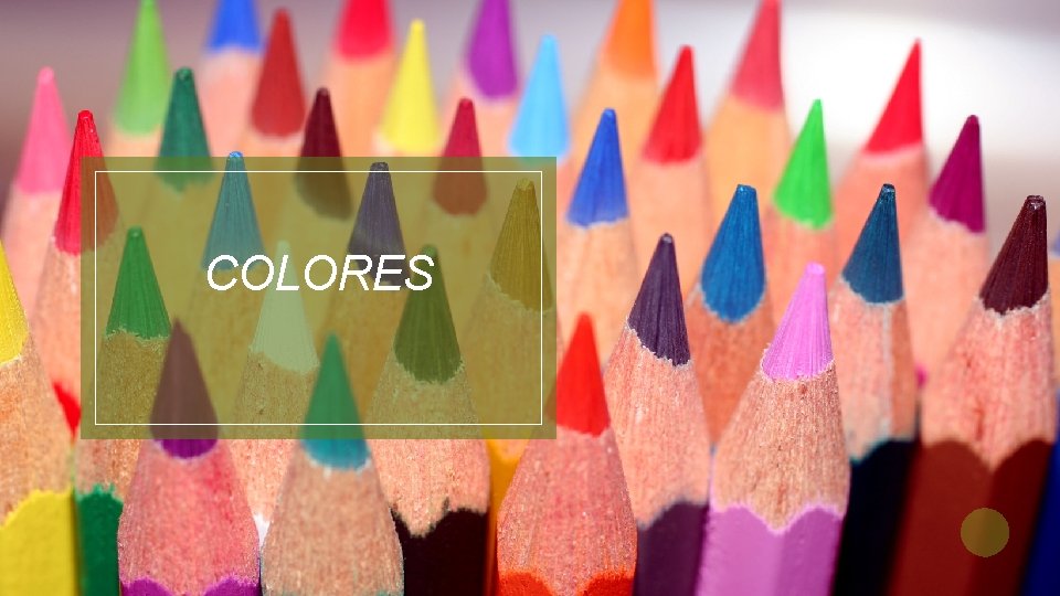 COLORES 