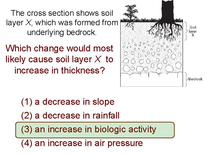 The cross section shows soil layer X, which was formed from underlying bedrock. Which