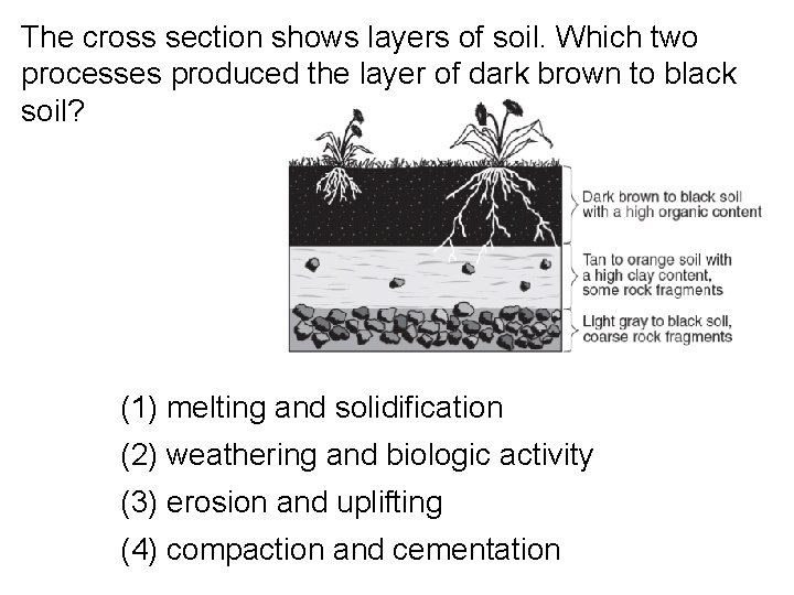 The cross section shows layers of soil. Which two processes produced the layer of