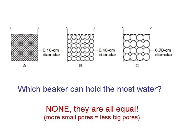Which beaker can hold the most water? NONE, they are all equal! (more small