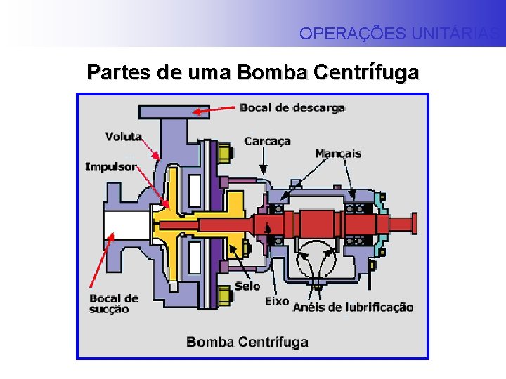 OPERAÇÕES UNITÁRIAS Partes de uma Bomba Centrífuga 