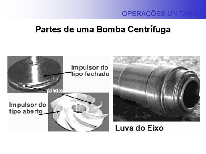 OPERAÇÕES UNITÁRIAS Partes de uma Bomba Centrífuga 