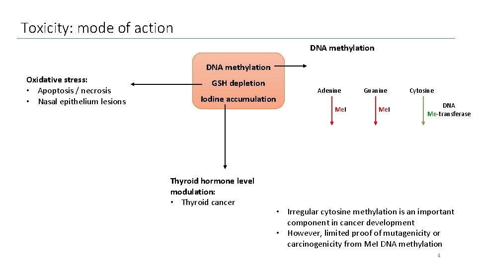 Toxicity: mode of action DNA methylation Oxidative stress: • Apoptosis / necrosis • Nasal