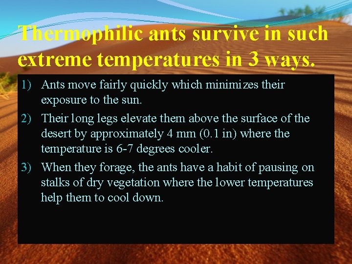 Thermophilic ants survive in such extreme temperatures in 3 ways. 1) Ants move fairly