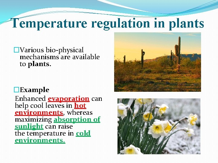 Temperature regulation in plants �Various bio-physical mechanisms are available to plants. �Example Enhanced evaporation
