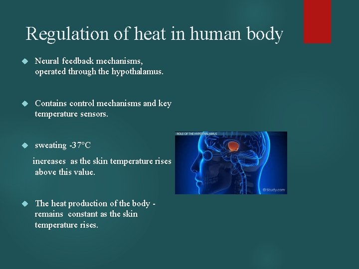 Regulation of heat in human body Neural feedback mechanisms, operated through the hypothalamus. Contains