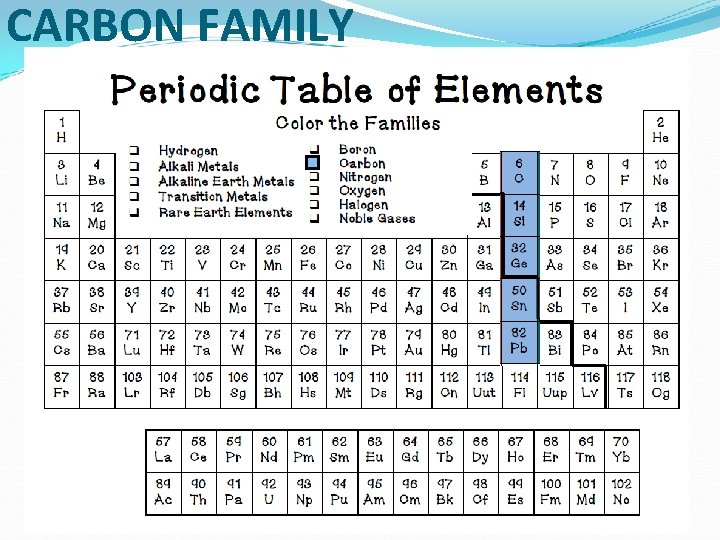 CARBON FAMILY 