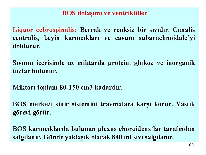 BOS dolaşımı ve ventriküller Liquor cebrospinalis: Berrak ve renksiz bir sıvıdır. Canalis centralis, beyin