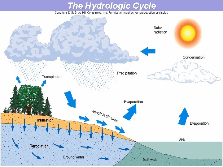 The Hydrologic Cycle 