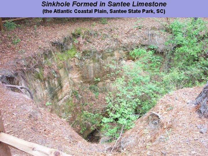 Sinkhole Formed in Santee Limestone (the Atlantic Coastal Plain, Santee State Park, SC) COASTAL
