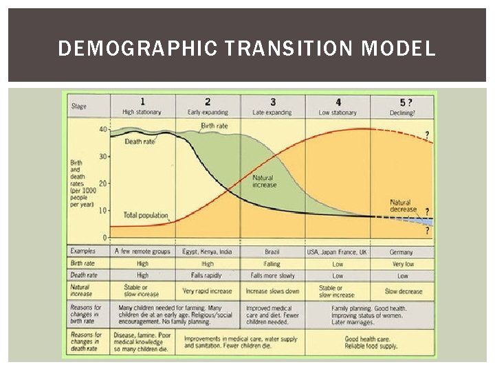 DEMOGRAPHIC TRANSITION MODEL 