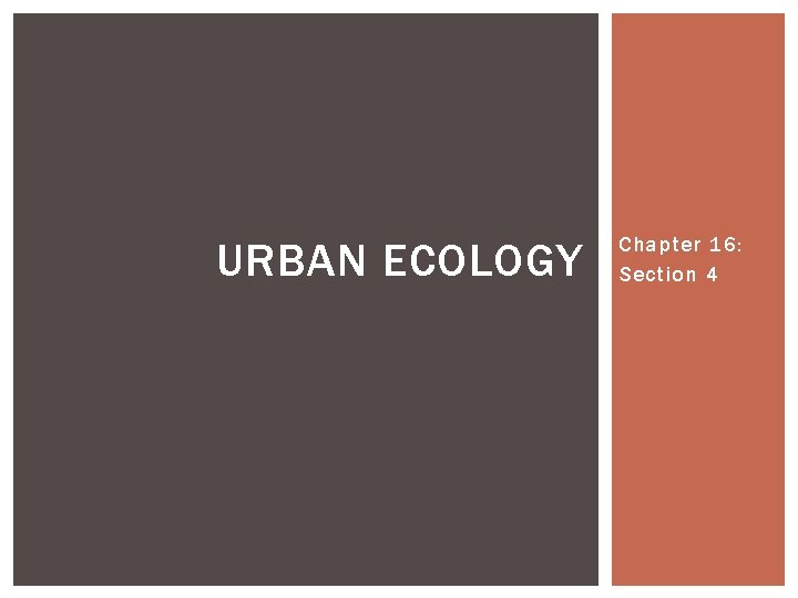 URBAN ECOLOGY Chapter 16: Section 4 